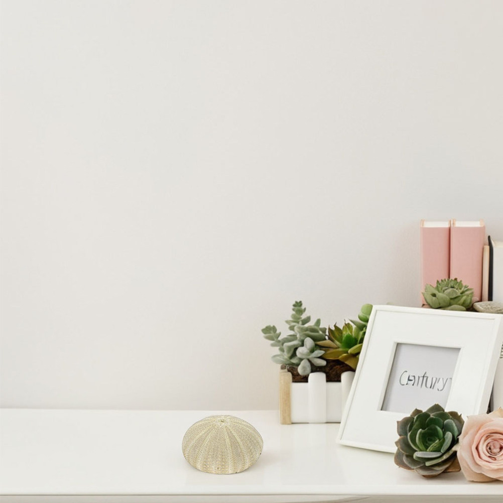 18 Stück Seeigel-Muscheln als  – Art Craft Vase Bewertung und Preis